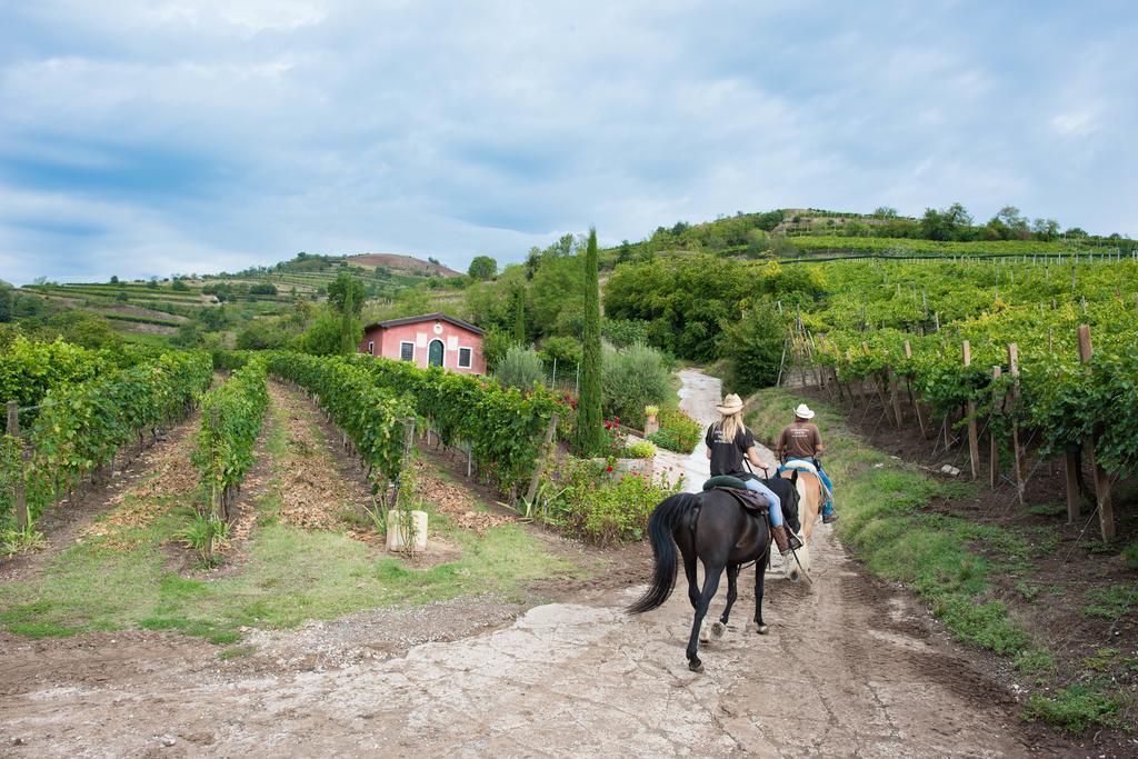 Casa Costa Relais B&B Monteforte d'Alpone Екстер'єр фото