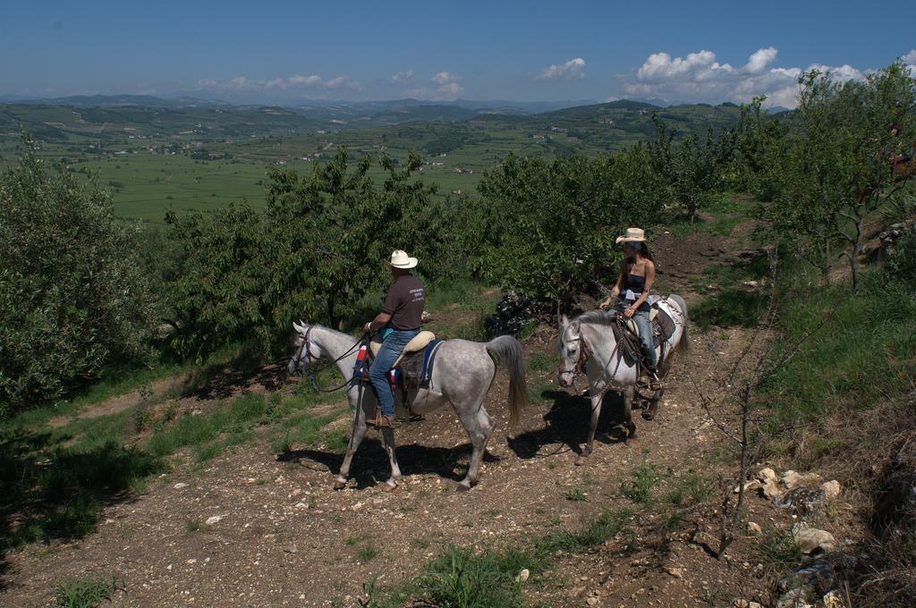 Casa Costa Relais B&B Monteforte d'Alpone Екстер'єр фото
